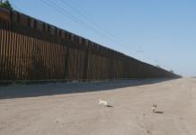 EEUU agilizará la construcción del muro con México con omisión de leyes medioambientales