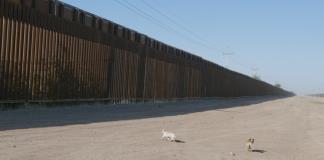 EEUU agilizará la construcción del muro con México con omisión de leyes medioambientales