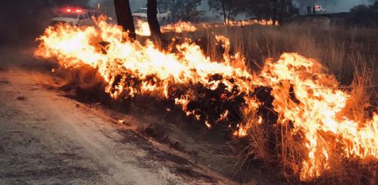 Continúa activo el incendio en paraje Ciudad Cajetes en Bosque de La Primavera