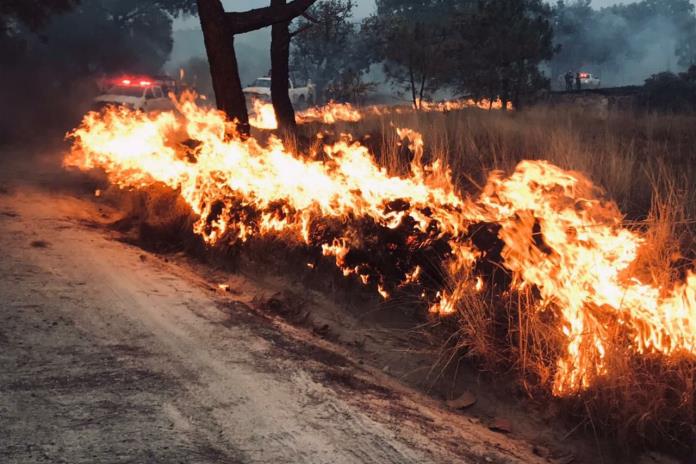 Continúa activo el incendio en paraje Ciudad Cajetes en Bosque de La Primavera