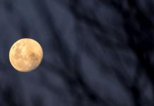 Todo lo que necesita saber sobre el próximo eclipse parcial lunar, el más largo del siglo