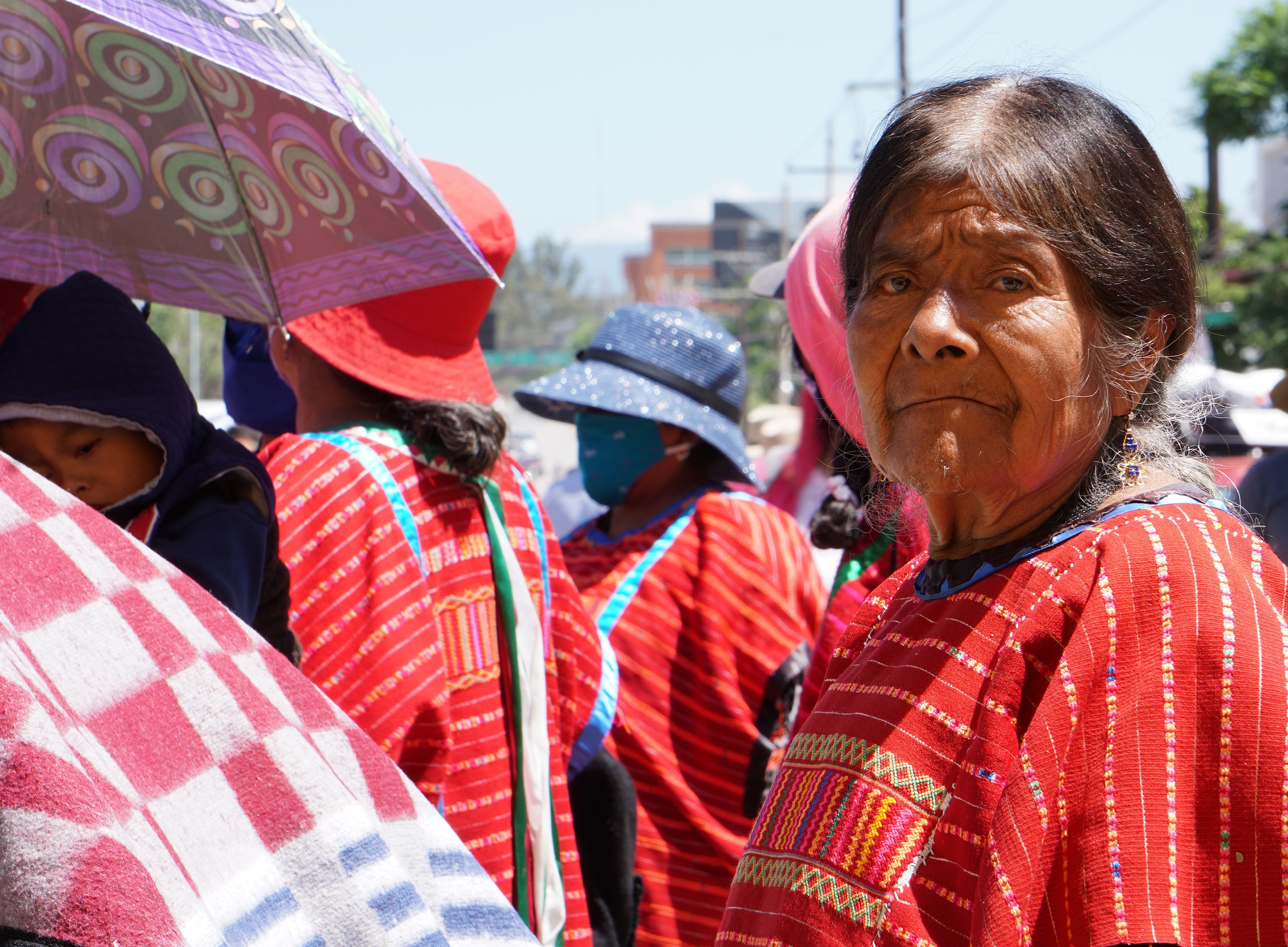 El ADN revela que los picuris de Nuevo México descienden directamente de la cultura Chaco El ADN revela que los picuris de Nuevo México descienden directamente de la cultura Chaco