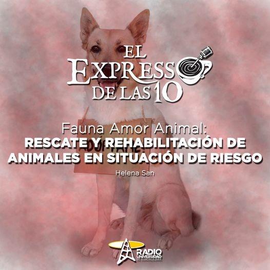 FAUNA AMOR ANIMAL: RESCATE Y REHABILITACIÓN DE ANIMALES EN SITUACIÓN DE RIESGO - El Expresso de las 10 - Vi. 27 Ago 2021