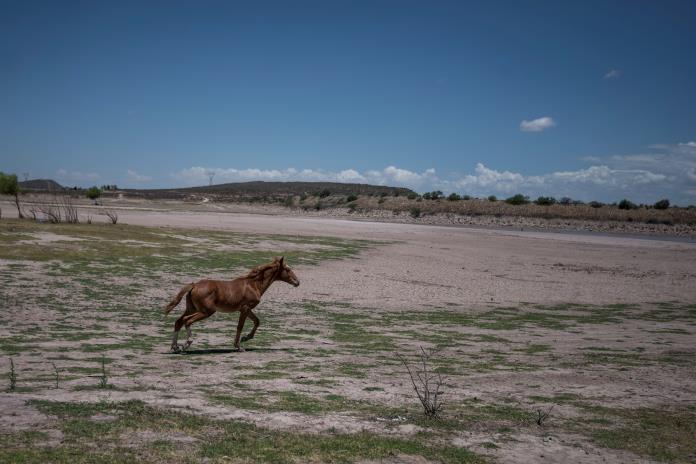 México declara emergencia por extrema sequía
