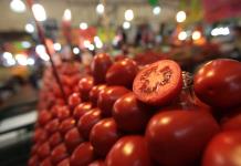 EEUU impone arancel del 17% a la mayoría de los tomates mexicanos 