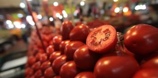 EEUU impone arancel del 17% a la mayoría de los tomates mexicanos 