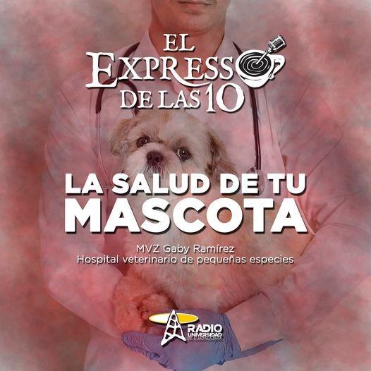 LA SALUD DE TU MASCOTA - El Expresso de las 10 - Vi. 12 Nov 2021