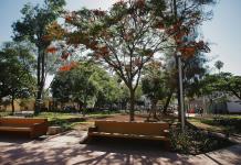 Comerciantes del parque rojo aceptan reubicación