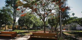 Comerciantes del parque rojo aceptan reubicación