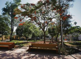 Comerciantes del parque rojo aceptan reubicación