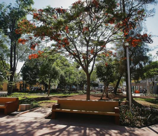 Comerciantes del parque rojo aceptan reubicación