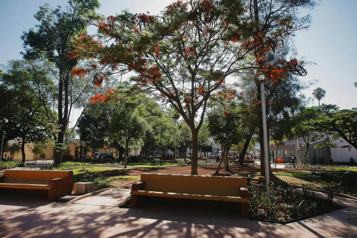 Ante la venta de ilícita de alcohol y droga, Guadalajara busca regular los comercios en el Parque Rojo
