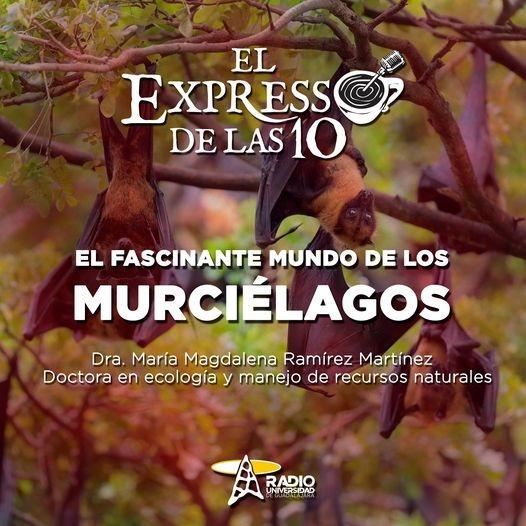 EL FASCINANTE MUNDO DE LOS MURCIÉLAGOS - El Expresso de las 10 - Vi. 21 Ene 2022