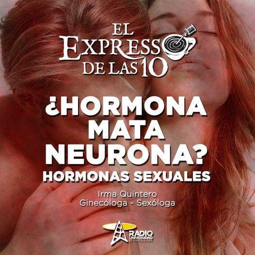 ¿HORMONA MATA NEURONA? HORMONAS SEXUALES - El Expresso de las 10 - Ju. 24 Feb 2022
