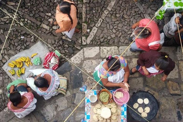 Zapopan realizará festival cultural para visibilizar la pérdida de las lenguas maternas en Jalisco