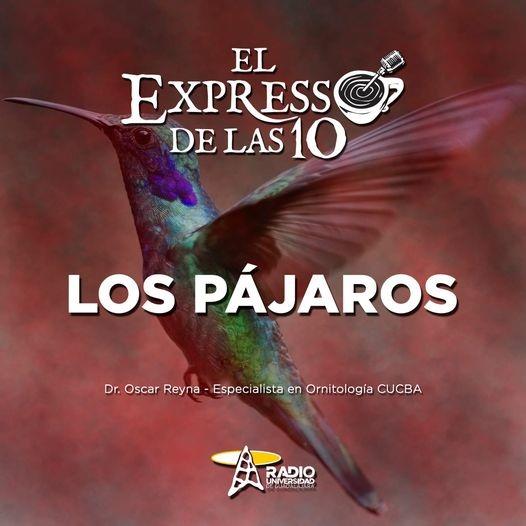 LOS PÁJAROS - El Expresso de las 10 - Vi. 04 Mar 2022
