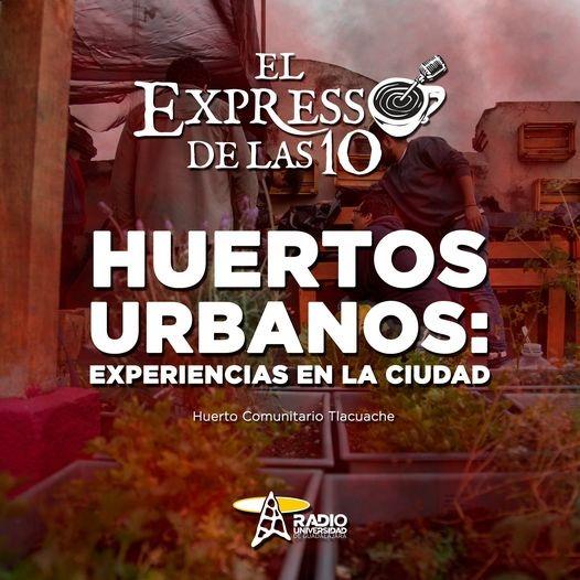 HUERTOS URBANOS, EXPERIENCIAS EN LA CIUDAD - El Expresso de las 10 - Vi. 11 Mar 2022