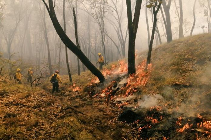 Mazamitla pierde al menos 380 hectáreas de bosque por incendio