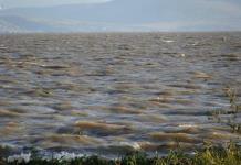Lago de Chapala se encuentra al 51% de su capacidad
