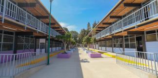 Cada vez denuncian menos casos de bullying en las escuelas de Jalisco Cada vez denuncian menos casos de bullying en las escuelas de Jalisco