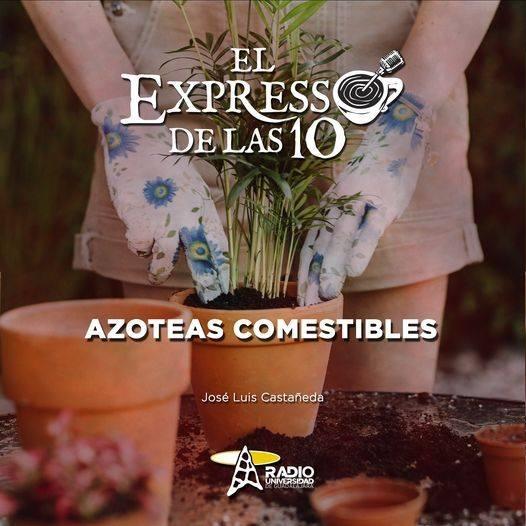 AZOTEAS COMESTIBLES - El Expresso de las 10 - Vi. 29 Abr 2022