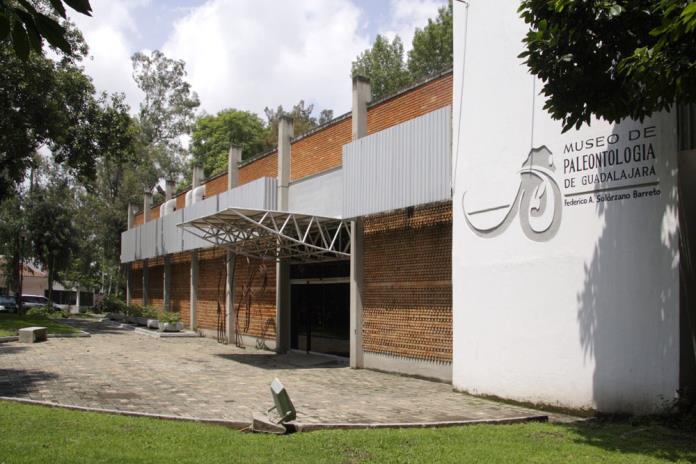Museo de Paleontología de Guadalajara ofrece talleres sobre el pasado de Jalisco