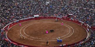 Guadalajara atenderá resolución que prohíbe corridas de toros