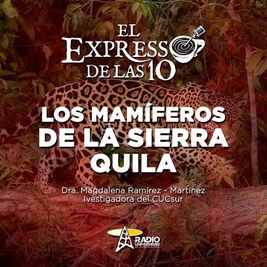 LOS MAMÍFEROS DE LA SIERRA DE QUILA - Vi. 17 Jun 2022 - El Expresso de las 10
