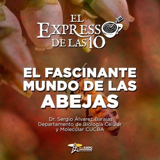 EL FASCINANTE MUNDO DE LAS ABEJAS - El Expresso de las 10 - Vi. 02 Sep 2022