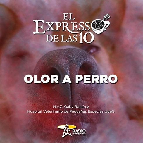 OLOR A PERRO - El Expresso de las 10 - Lu. 26 Sep 2022