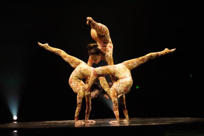 El contorsionismo, uno de los 10 actos estelares que trae “Kooza” del Cirque du Soleil