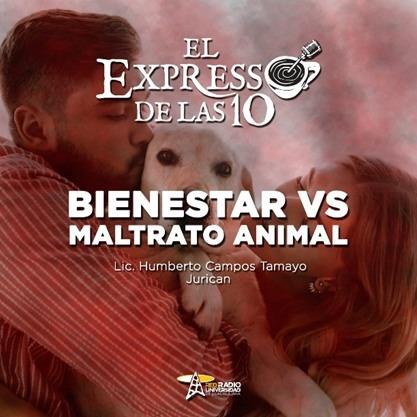 BIENESTAR VS MALTRATO ANIMAL - El Expresso de las 10 - Mi. 05 Oct 2022