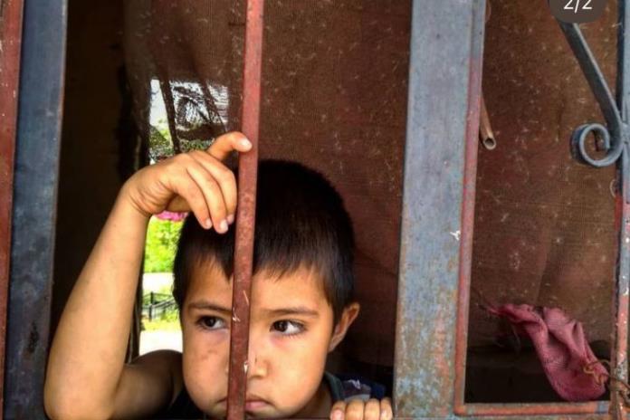 Jalisco registra 8 abusos sexuales infantiles por día en lo que va del 2022