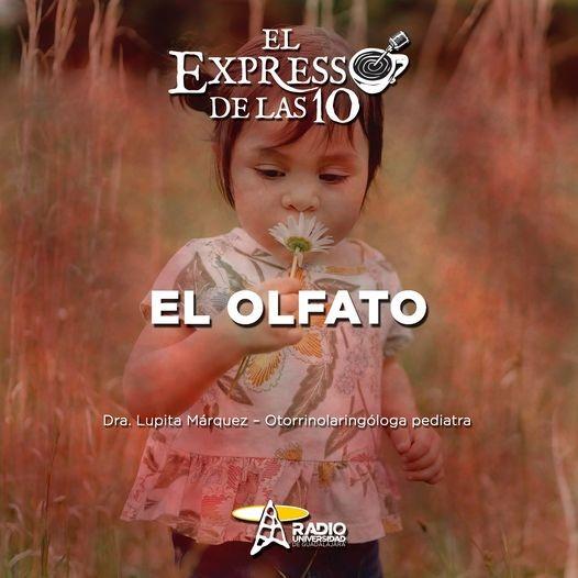 EL OLFATO - El Expresso de las 10 - Ma. 06 Nov 2022