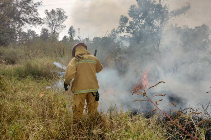 Siete hectáreas del Bosque del Centinela afectadas por incendio registrado este domingo