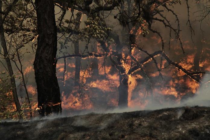 Prepárate porque será un año complicado por los incendios forestales en Jalisco