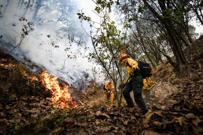 La temporada de incendios se anticipó; Jalisco prevé un año complicado