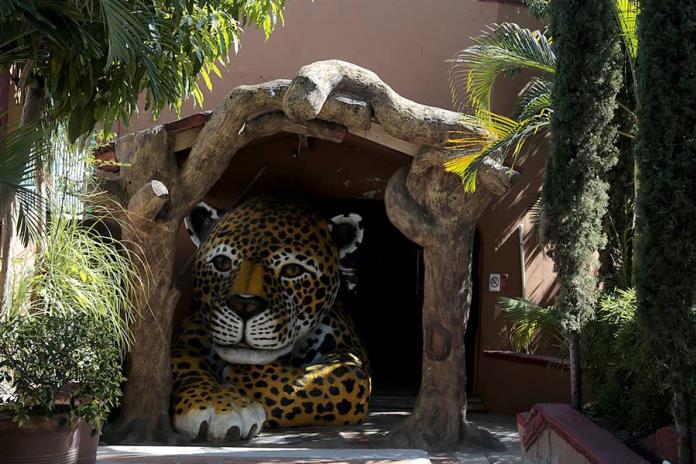 Desaparecen, venden y sacrifican a animales de zoológico en Guerrero