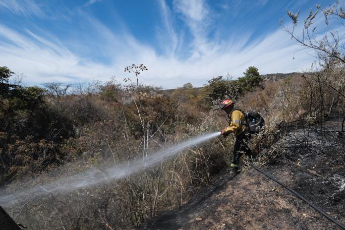Siete municipios de Jalisco, bajo alerta ambiental por fuego en Chiquilistlán y Atemajac