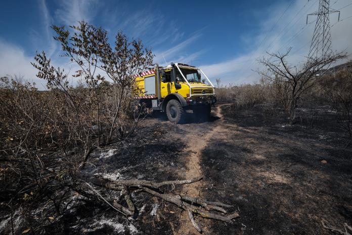 Casi dos mil hectáreas de arbolado quemado es el saldo de los incendios en Zapopan