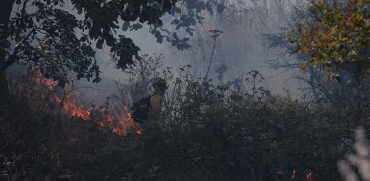 En lo que va del año, en Jalisco se han decretado 17 alertas y 2 emergencias ambientales