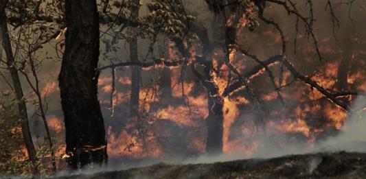 En Jalisco, 750 incendios forestales hasta esta mañana