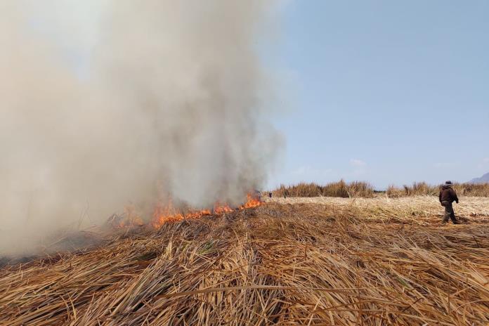 Cobrarán fuerte multa a quien causó quema agrícola en Jamay