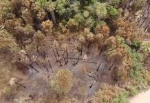 Agrupación civil de Ayotlán organiza reforestación de la “Ciénega de Tlaxcala”