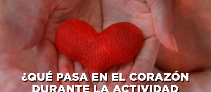 ¿QUÉ PASA EN EL CORAZÓN DURANTE LA ACTIVIDAD SEXUAL? - El Expresso de las 10 - Ju. 20 Abr 2023