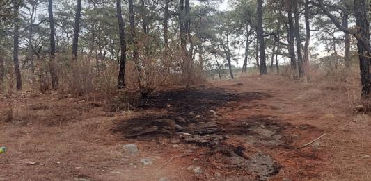 Policías de Zapopan detienen a presunto incendiario del Bosque de la Primavera