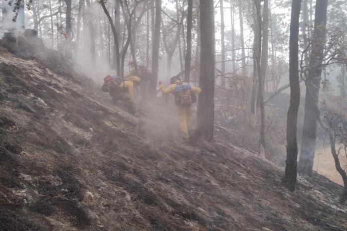 Incendio de Tapalpa se generó en terrenos particulares, gobernador anuncia plan de reforestación