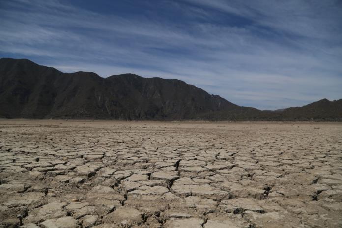 Sequía mermó cosecha de trigo en Ocotlán; altas temperaturas obligaron a realizar más riegos de los habituales
