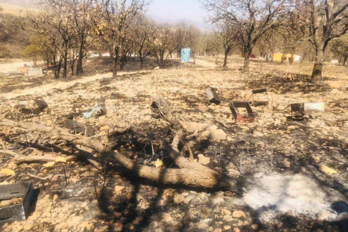 Apicultores de Zapopan registran pérdidas de 60 colmenas y 140 hectáreas afectadas por incendio Apicultores de Zapopan registran pérdidas de 60 colmenas y 140 hectáreas afectadas por incendio