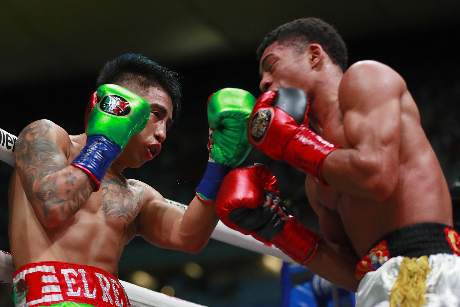 El \, image size:1920x1280